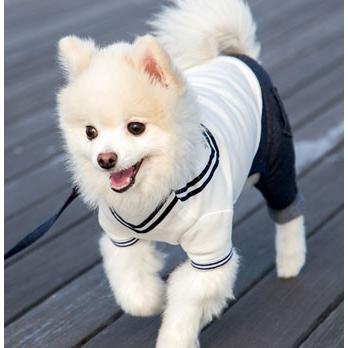 犬の服 春 夏 セーラーTシャツ ホワイト 犬と生活 洋服 ドッグウェア｜ciera｜03
