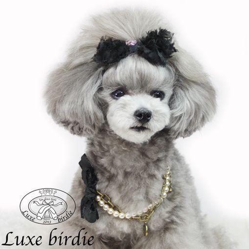 犬のアクセサリー Luxe birdie Luxeネックレス レヴァラスネックレス ブラック｜ciera｜03