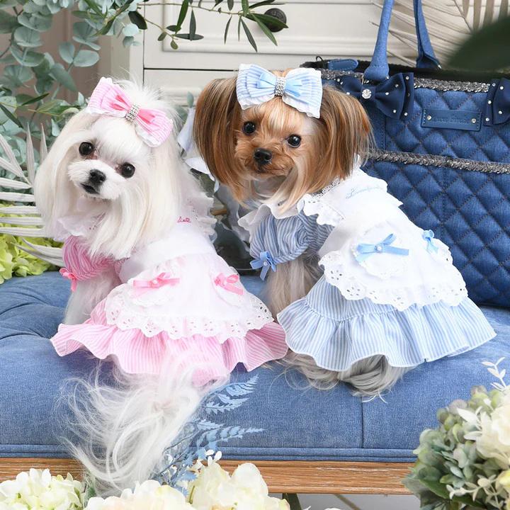 リュクスバーディ　Luxe birdie　ワンピース　ブルー BIRDIE 犬の服 春 夏 Luxe birdie キャンディワンピース ブルー