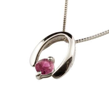 ダイゾー ナチュラル 10金 馬蹄 ネックレス ルビー ホースシュー