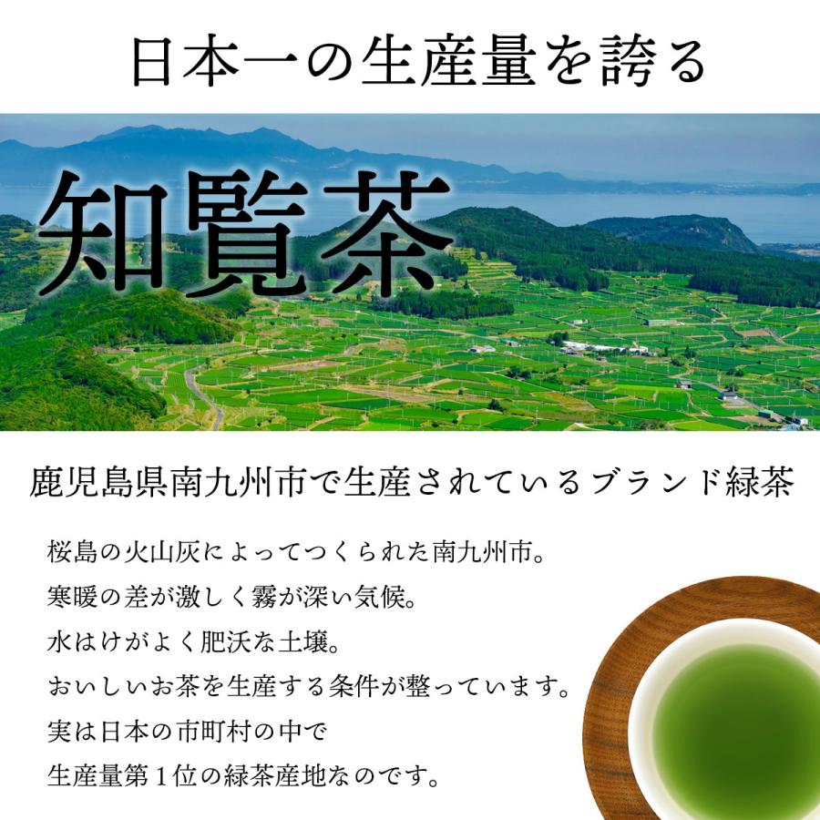 緑茶 ティーバッグ 知覧茶 2.5g×50p 2個セット｜cin｜11