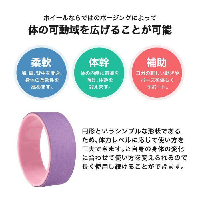 専用バッグ付き chirp wheel+ ストレッチホイール 姿勢矯正器具付き ヨガ トレーニング ダイエット サポート 背中 柔軟 バックスト