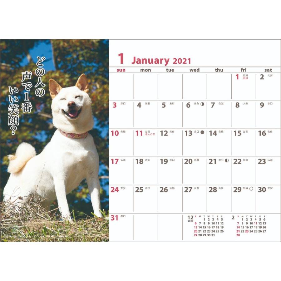 カレンダー 21 犬川柳 卓上 いぬ スケジュール 動物写真 書き込み インテリア Apj 21 Cl 012 シネマコレクション ヤフー店 通販 Yahoo ショッピング