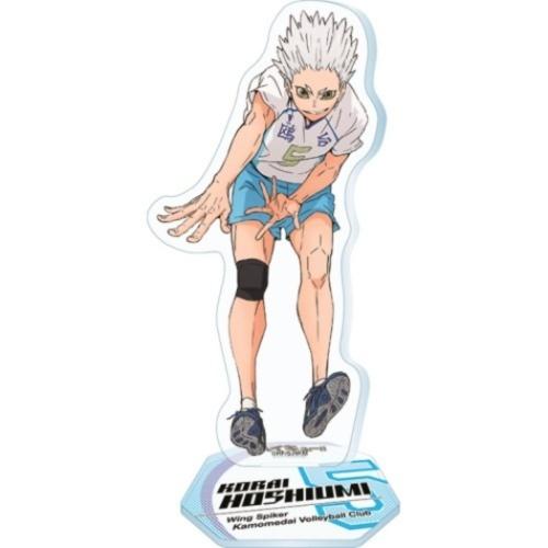 エンスカイ 星海光来 鴎台高校 ハイキュー アクリルスタンド 少年