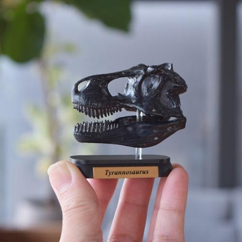 恐竜 ダイナソー スカルミニモデル 10体セット グッズ フィギュア