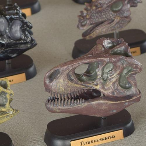 恐竜 ダイナソー スカルミニモデル 10体セット グッズ フィギュア