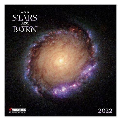 22年 カレンダー 壁掛け Where Stars Are Born 星が生まれる場所 Tushita 写真 宇宙 Ht 22 2151 シネマコレクション ヤフー店 通販 Yahoo ショッピング