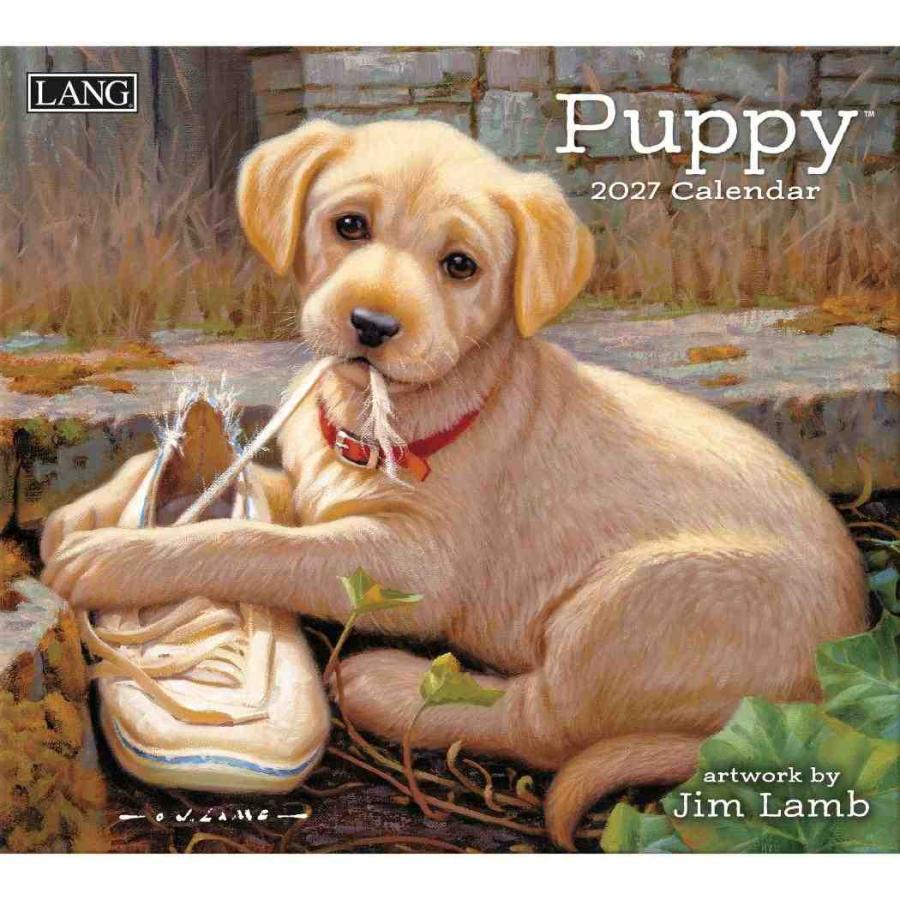 2027 Calendar LANG ラング 壁掛けカレンダー2027年 Jim Lamb Puppy