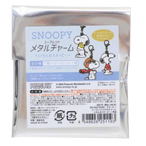 PEANUTS スヌーピー シークレットメタルチャーム 全8種の内どれか1個