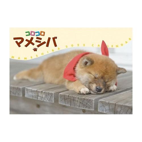 22年 カレンダー コロコロマメシバ 壁掛けカレンダー19年 いぬ 動物 写真 Tx 22 Cl 381 シネマコレクション ヤフー店 通販 Yahoo ショッピング