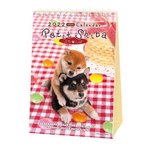 カレンダー 22年 ぷち しば 卓上 いぬ スケジュール 動物写真 書き込み インテリア オーバーのアイテム取扱
