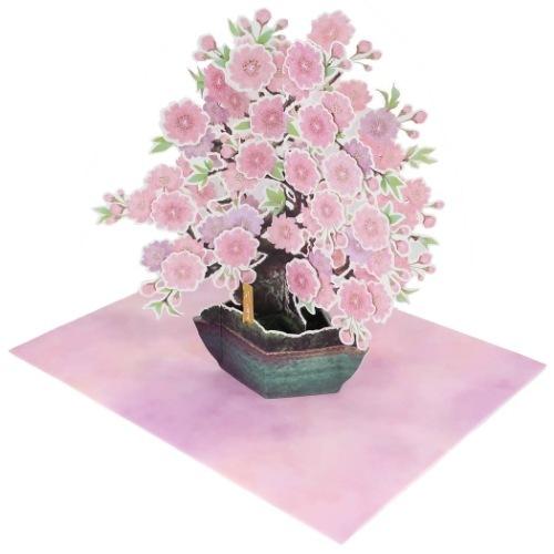 グリーティングカード プレゼント ポップアップカード 盆栽 八重桜 キャラクターのシネマコレクション 通販 Paypayモール