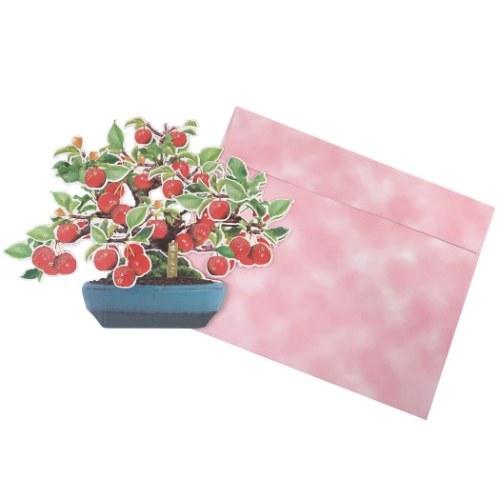 グリーティングカード グッズ 封筒付き ポップアップカード メッセージカード 盆栽 姫りんご キャラクターのシネマコレクション 通販 Paypayモール