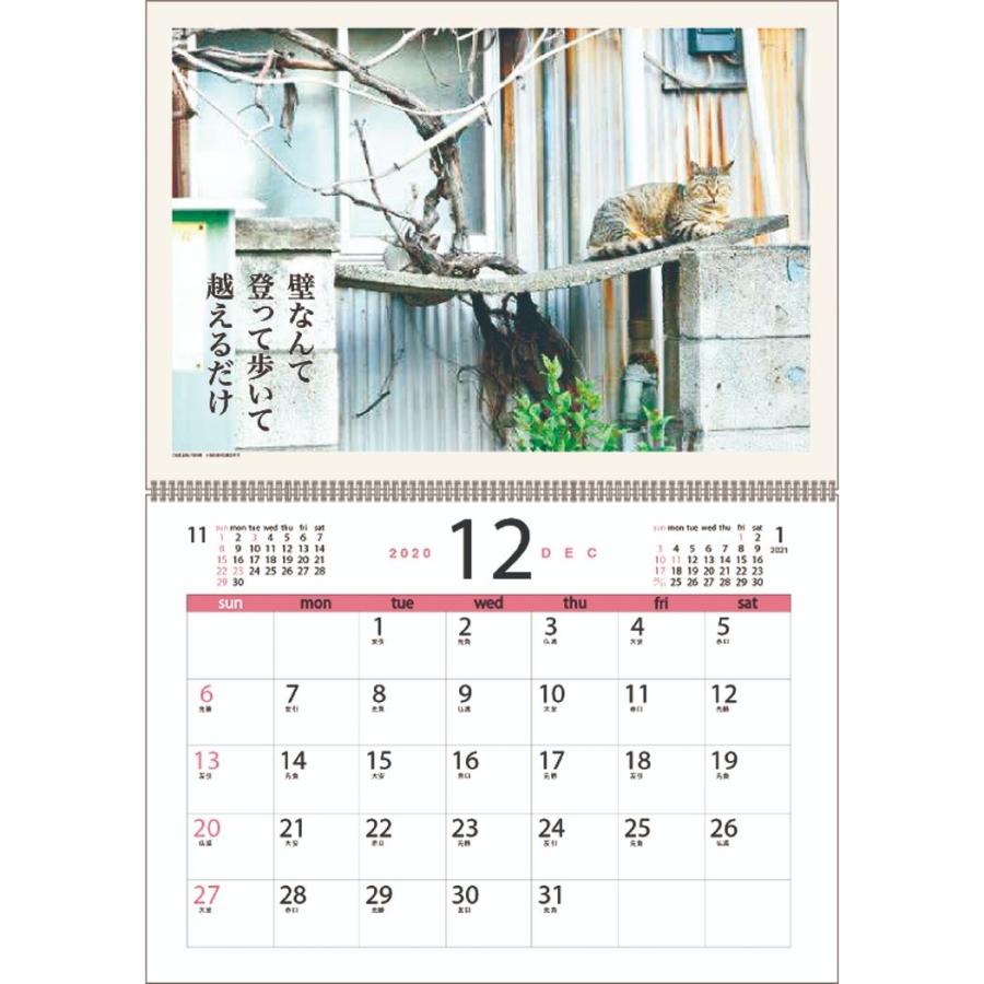 猫川柳 カレンダー 21年 壁掛け スケジュール ねこ 令和3年 暦 キャラクターのシネマコレクション 通販 Paypayモール
