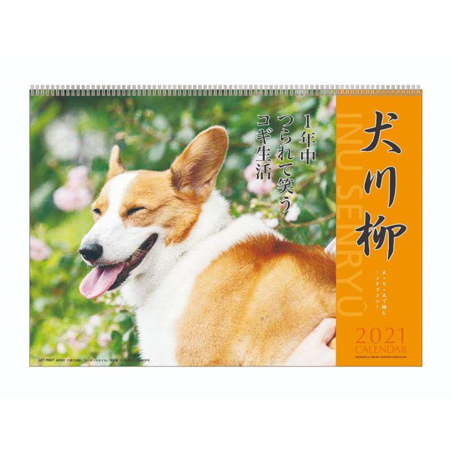 コーギー犬川柳 壁掛け カレンダー 21年 スケジュール いぬ 令和3年 暦 キャラクターのシネマコレクション 通販 Paypayモール