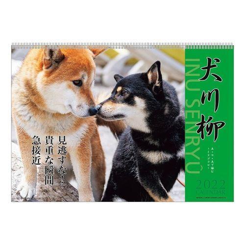 犬川柳 カレンダー 22年 壁掛け スケジュール いぬ ドッグ Apj かわいい 動物 写真 セール キャラクターのシネマコレクション 通販 Paypayモール