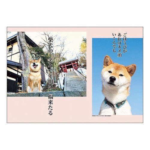 何でも揃う 犬川柳 カレンダー 22年 壁掛け スケジュール いぬ ドッグ Apj かわいい 動物 写真 Riosmauricio Com