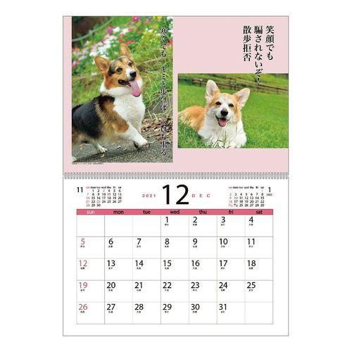 コーギー犬川柳 壁掛け 2022年 カレンダー スケジュール いぬ ドッグ 書き込み 令和4年 暦|キャラクターのシネマコレクション|01