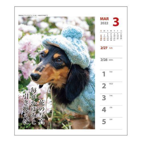 ダックス 犬川柳 週めくり いぬ ドッグ 書き込み 壁掛け Apj 22年 カレンダー 卓上 スケジュール 日本全国 送料無料