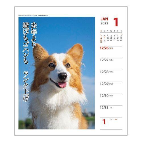 コーギー 犬川柳 週めくり 22 カレンダー 壁掛け 卓上 スケジュール いぬ ドッグ Apj かわいい 動物 写真 キャラクターのシネマコレクション 通販 Paypayモール