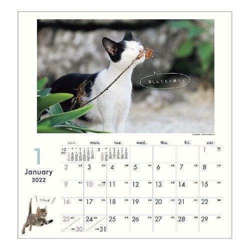 は自分にプチご褒美を 仔猫 にゃんこ日和 関由佳 22 カレンダー 壁掛け スケジュール ねこ キャット Apj かわいい 動物 写真 Riosmauricio Com