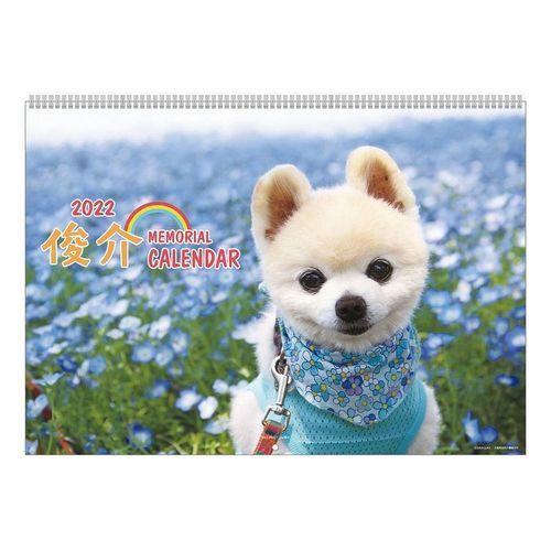 犬 俊介 ポメラニアン カレンダー 22年 壁掛け スケジュール いぬ ドッグ Apj キャラクターのシネマコレクション 通販 Paypayモール