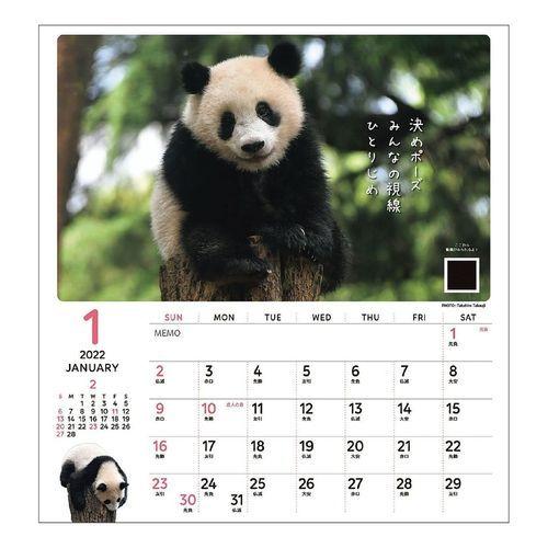 22 カレンダー シャンシャン パンダ 川柳 壁掛け スケジュール Apj かわいい 動物 写真 キャラクターのシネマコレクション 通販 Paypayモール