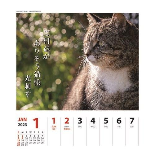 壁掛け 卓上カレンダー23年 猫川柳 週めくり 23calendar スケジュール1 ねこ 最大51 オフ Apj 449円
