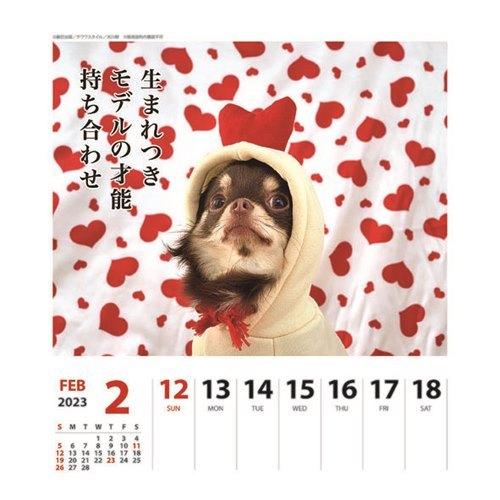 23calendar チワワ犬川柳 週めくり 壁掛け 卓上カレンダー23年 いぬ スケジュール 動物写真 書き込み プレゼント バレンタイン Apj 23 Cl 031 キャラクターのシネマコレクション 通販 Yahoo ショッピング