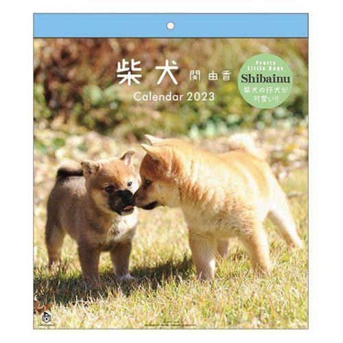 23calendar 仔犬 柴犬 関由佳 30角 壁掛けカレンダー23年 スケジュール いぬ Apj プレゼント 男の子 女の バレンタイン Apj 23 Cl 039 キャラクターのシネマコレクション 通販 Yahoo ショッピング