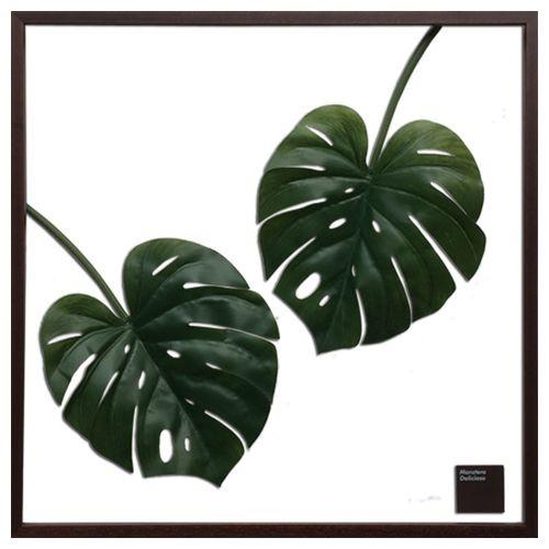 グリーン 額付 モンステラ リーフ アートパネル F Style Frame Monstera Deliciosa Iff 美工社 77 5 77 5cm お洒落 観葉植物 キャラクターのシネマコレクション 通販 Paypayモール