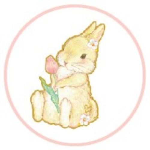 未使用 たけいみき シールシート ふち箔 クリアシール ガーリーイラスト イエローラビット249円 Aynaelda Com
