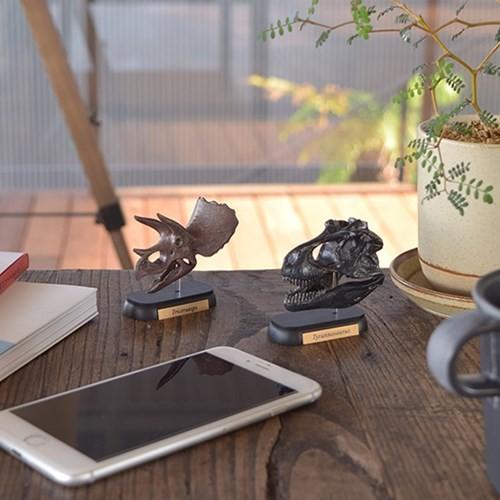 恐竜 ダイナソー スカルミニモデル 10体セット グッズ フィギュア