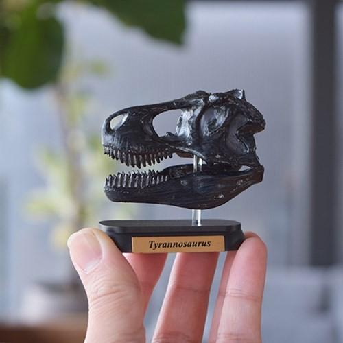 恐竜 ダイナソー スカルミニモデル 10体セット グッズ フィギュア