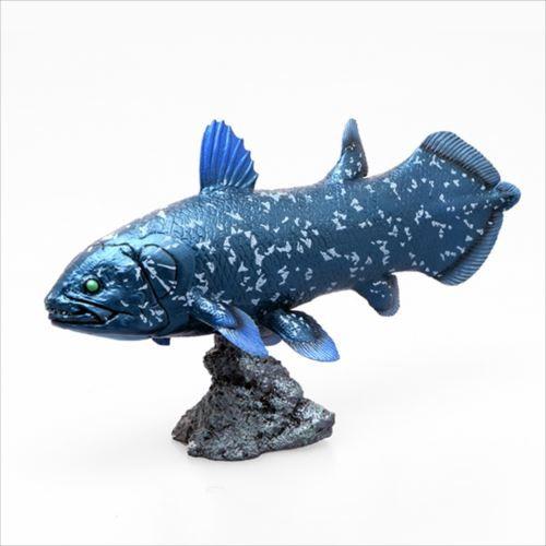 ソフトモデルフィギュア 古代魚 フィギュア シーラカンス 恐竜