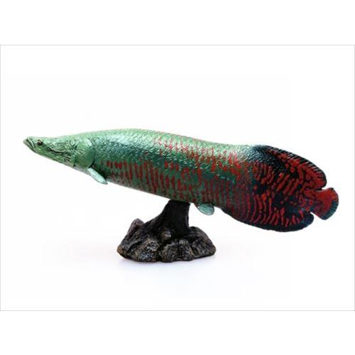 古代魚 フィギュア ソフトモデルフィギュア ピラルクー 恐竜