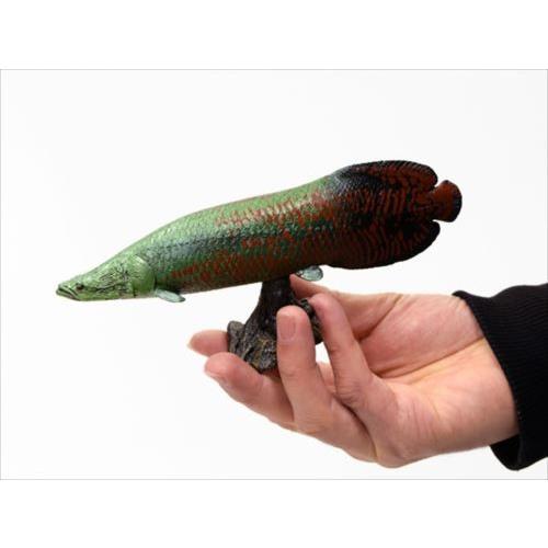 古代魚 フィギュア ソフトモデルフィギュア ピラルクー 恐竜