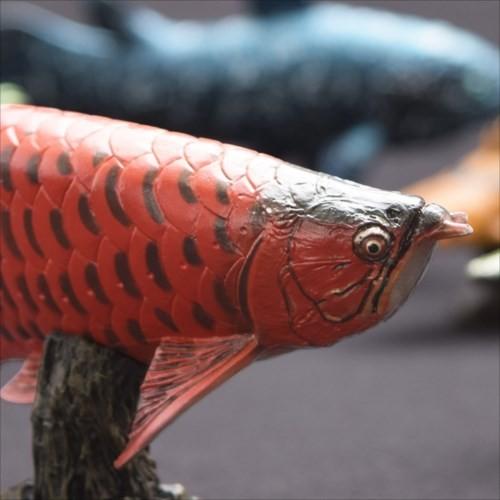アジアアロワナ フィギュア ソフトモデルフィギュア 紅龍 古代魚