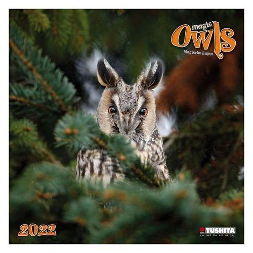 22年 カレンダー 輸入 壁掛けmagic Owls フクロウ Tushita アニマル 写真 キャラクターのシネマコレクション 通販 Paypayモール