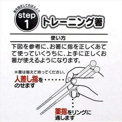はらぺこあおむし 子供のおはし トレーニング箸 2 5才児用 エリックカール スケーター 食事の練習 Kcsk キャラクターのシネマコレクション 通販 Yahoo ショッピング