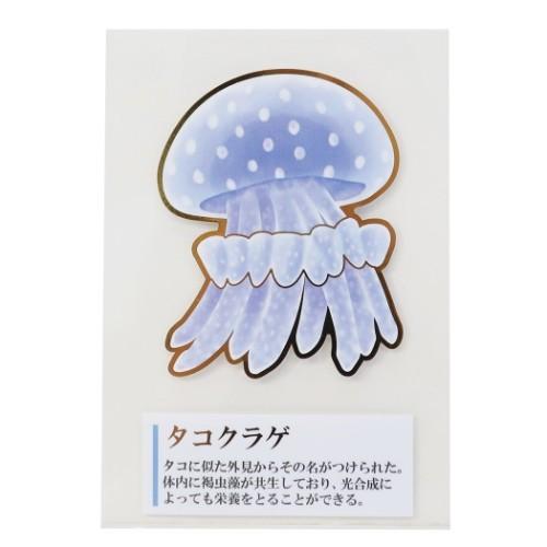 ミニ デコステッカー 大人の図鑑 耐水耐光 ステッカー クラゲ Decoシール キャラクターのシネマコレクション 通販 Paypayモール