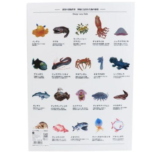 クリアファイル 大人の図鑑 メタリック クリアファイル 深海魚 カミオジャパン ビジュアルコレクション 書類整理 キャラクターのシネマコレクション 通販 Paypayモール
