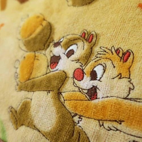 Seal限定商品 チップ デール グッズ ハンドタオル ウォッシュタオル ウォーターナッツ ディズニー キャラクター プレゼント 男の子 女の子 ギフト バレンタイン Www Gothamgazette Com