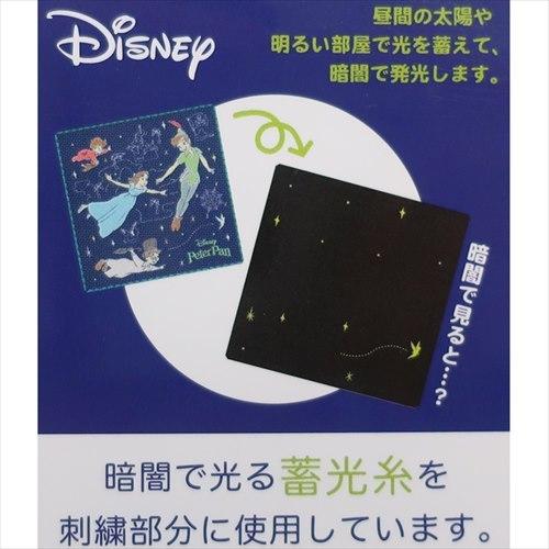 ピーター・パン ピーターパン ディズニー キャラクター ミニタオル