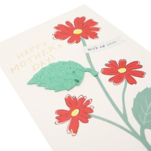 グリーティングカード 芽が出るカード 母の日 赤いお花 キャラクターのシネマコレクション 通販 Paypayモール