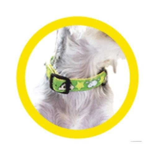 クレヨンしんちゃん グッズ 犬用 首輪 アニメキャラクター ドッグカラー チョコビ Sサイズ Mサイズ Sm Ky1346 47 キャラクターのシネマコレクション 通販 Yahoo ショッピング