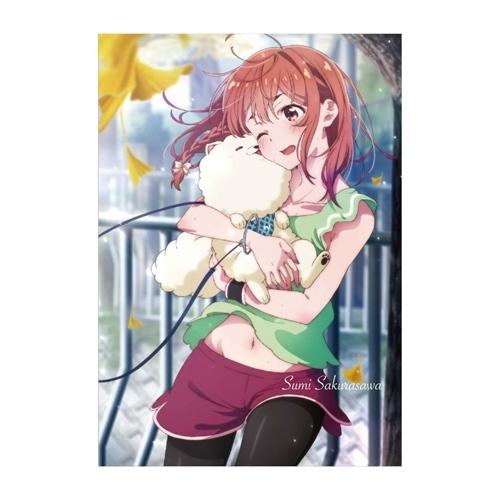 彼女 お借りします 手帳 22 B6 マンスリー D柄 桜沢墨 かのかり サンスター文具 アニメキャラクター スケジュール帳 Ssb 22 Df キャラクターのシネマコレクション 通販 Yahoo ショッピング