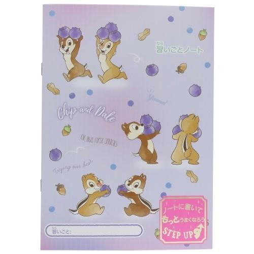 チップ デール 目標ノート B5 習いごとノート Fancy Style 16 ディズニー サンスター文具 17 5 25cm キャラクターのシネマコレクション 通販 Paypayモール
