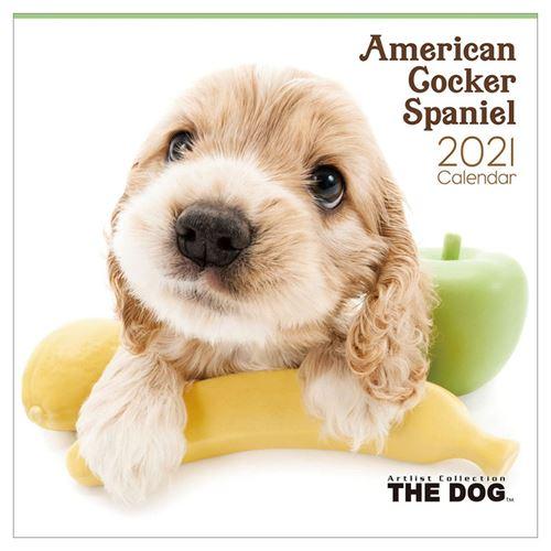 アメリカンコッカースパニエル 壁掛け いぬ カレンダー 21年 通販 The Dog トライエックス キャラクターのシネマコレクション 通販 Paypayモール