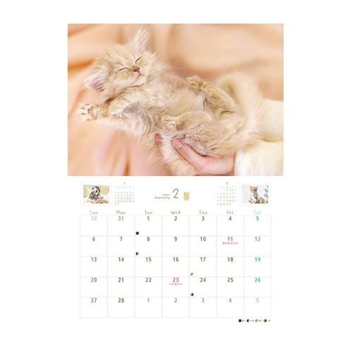 Lovely 手のり猫 壁掛けカレンダー ねこ 22年 カレンダー 動物 写真 キャラクターのシネマコレクション 通販 Paypayモール